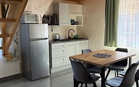 Apartament 6 osobowy Pasternik